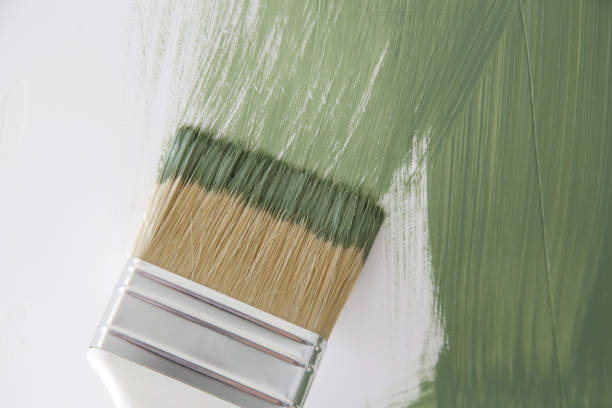 Best Basement Mold Removal  in Oxford, AL
