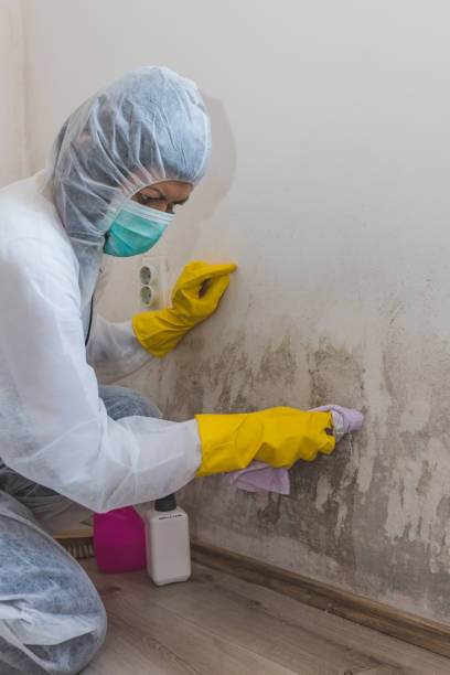 Best Indoor Air Quality Assessment  in Oxford, AL