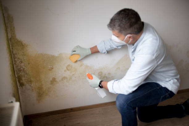 Asbestos and Lead Testing During Mold Inspection in Oxford, AL