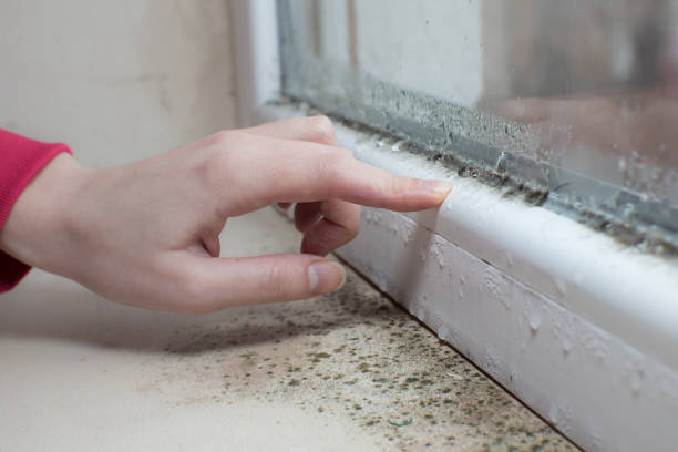 Best Mold Remediation for Rental Properties  in Oxford, AL