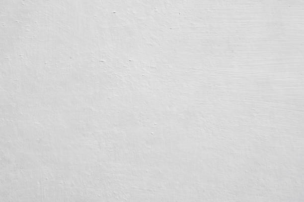 Reliable Oxford, AL Mold Removal Solutions